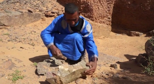 Sahra Çölü'nde 30 yıldır fosil arıyor